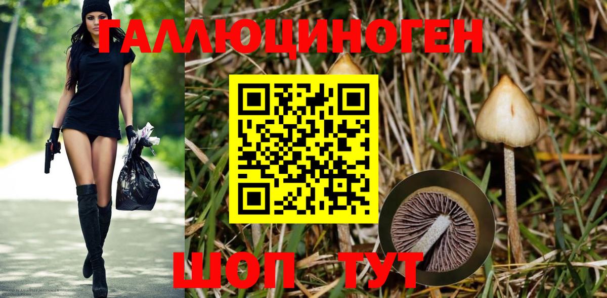 Галлюциногенные грибы мицелий Ханты-Мансийск